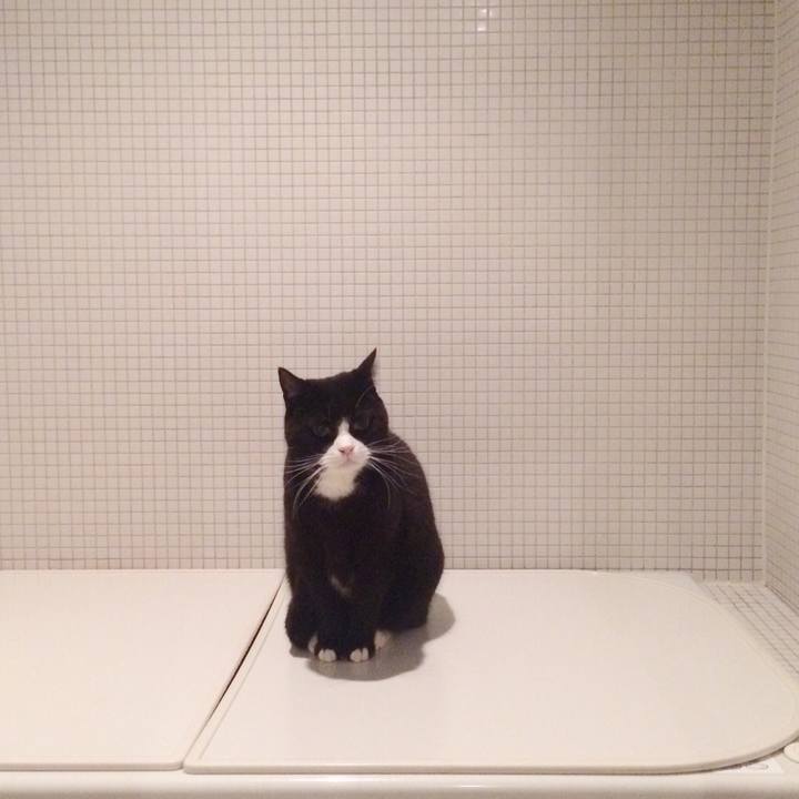 6ef7ad10 3294 4b4c 922d a33f8232a72b