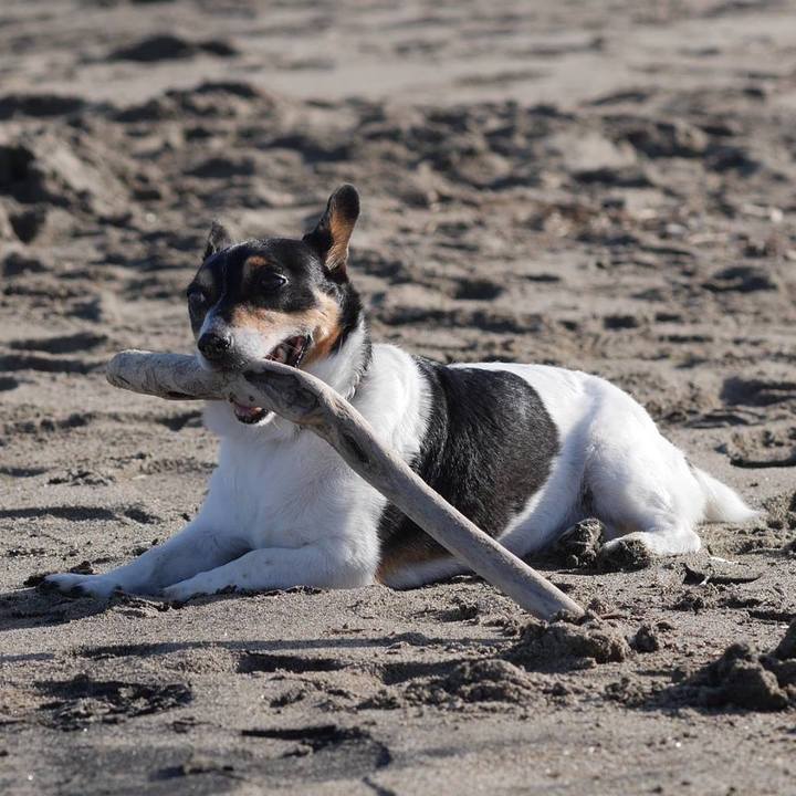 6ef7e9d6 0c6b 4c74 8bf7 57f9c324c545