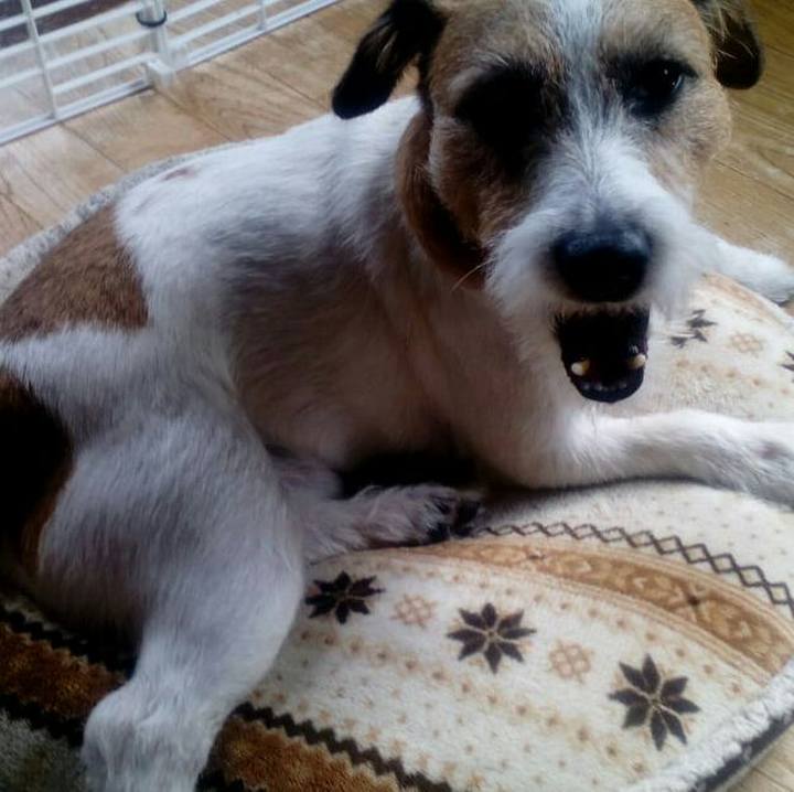 6ef7f9d9 c2fc 4013 b0f6 d06acefc7afe