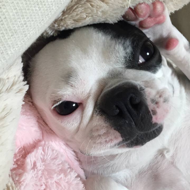 6ef7faca 2de9 4963 aa80 31721d1b4260