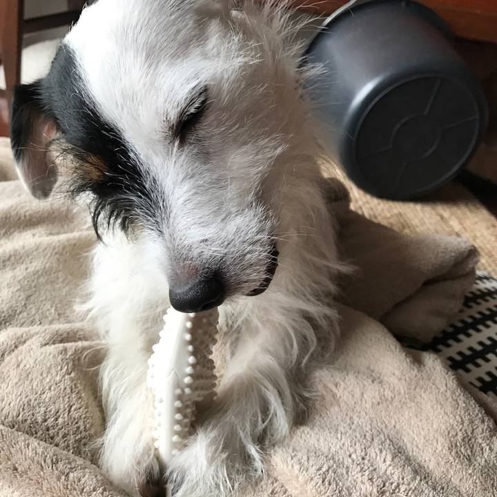 6ef7ff44 702b 419f 8e19 7afeff125930