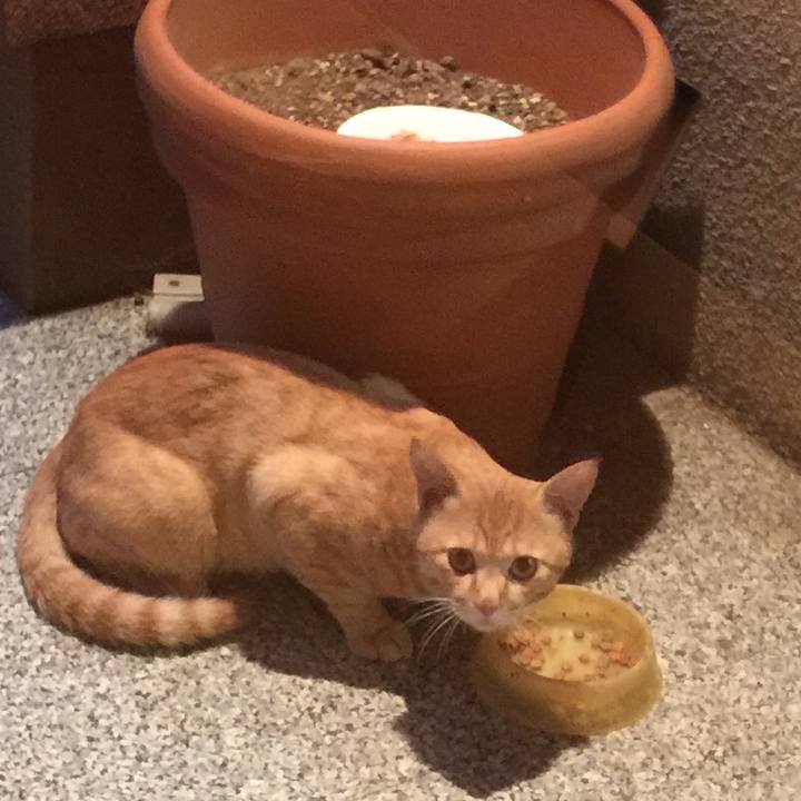 6ef8473f d701 4ac1 a681 5b3473a156fe