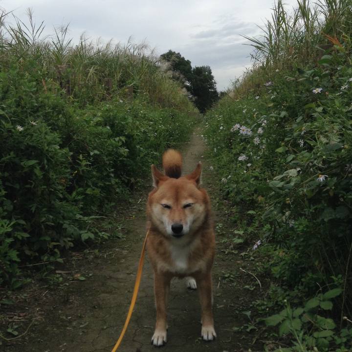 6ef847fd 3c5f 4f79 98a9 9fb624e28e22