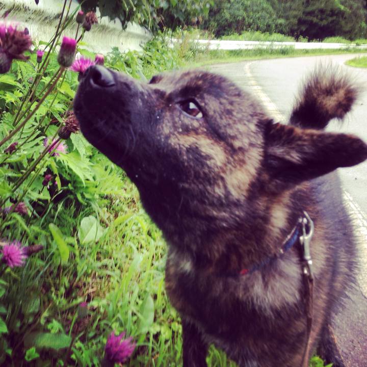 6ef8708f 796c 4771 83f1 21dfb7fb5212