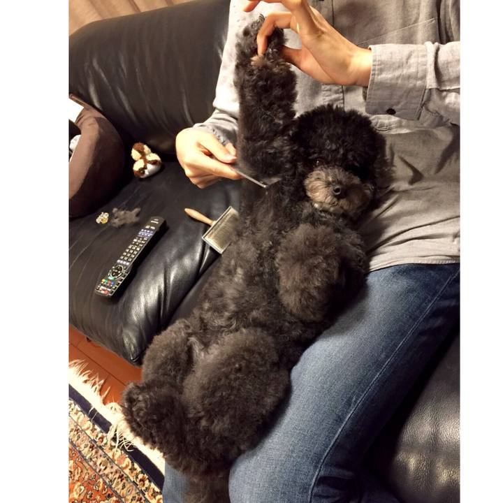 6ef94f1f 55bc 4d1f 8e4c 25a7855af8db