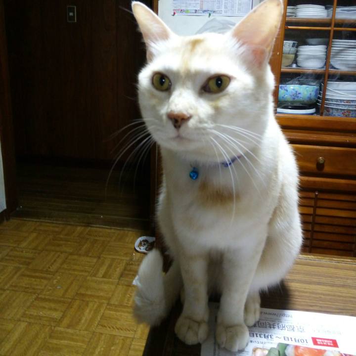 6ef9966e d7d4 42cc b90a fa76ea18ed9c