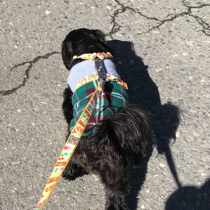 6ef9ee9a 1607 4268 9a03 8f3d3212204f