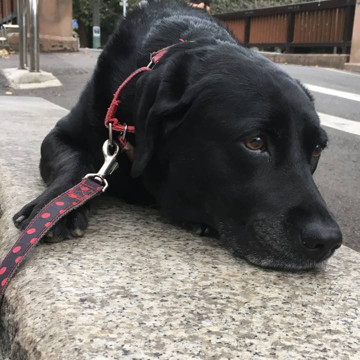 6efa1aec 29eb 45ef 9e4a c32e8f42887e