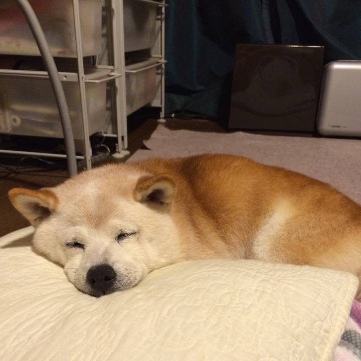 6efa684e 07e7 4f1b b493 c89f3a087413