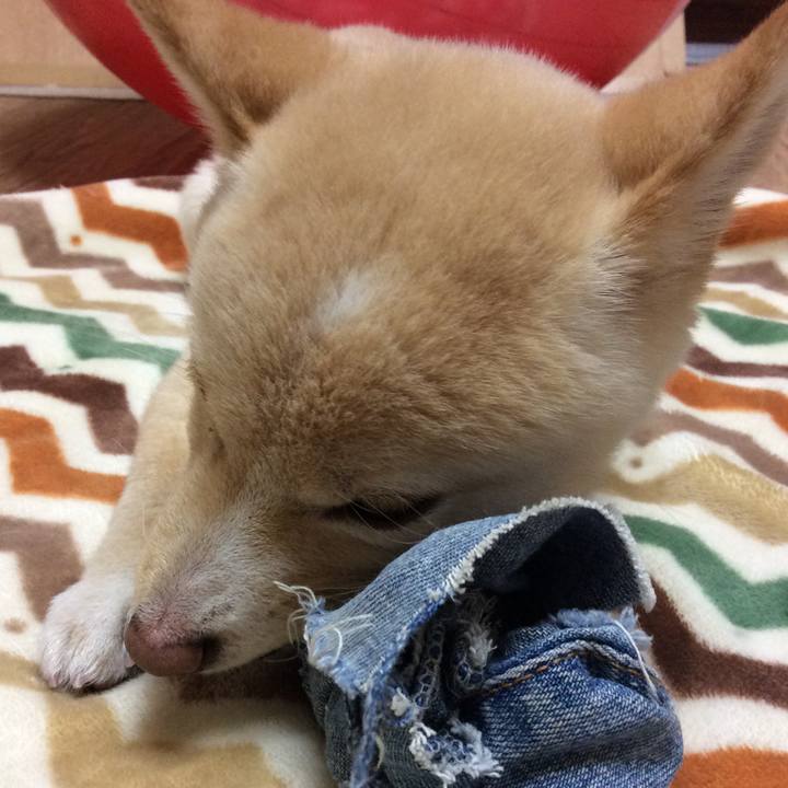 6efb3b73 52dc 4795 bf80 113ac57d85a7