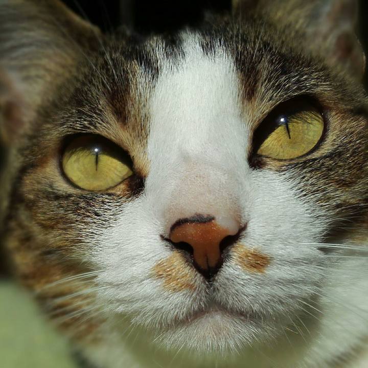 6efb6fc1 2b2b 48a6 bdd1 8c39ea39da88