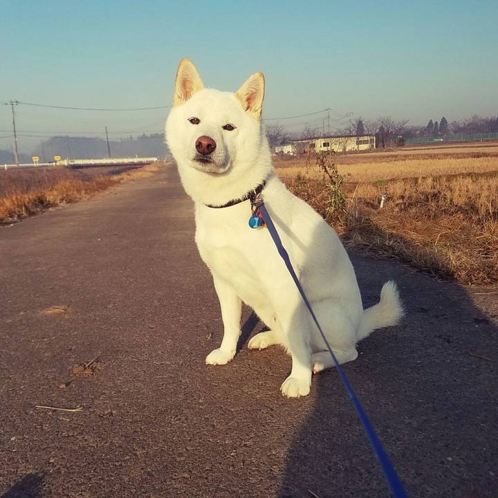 6efb7526 5950 4ca8 ab1e 8d1791a35d68