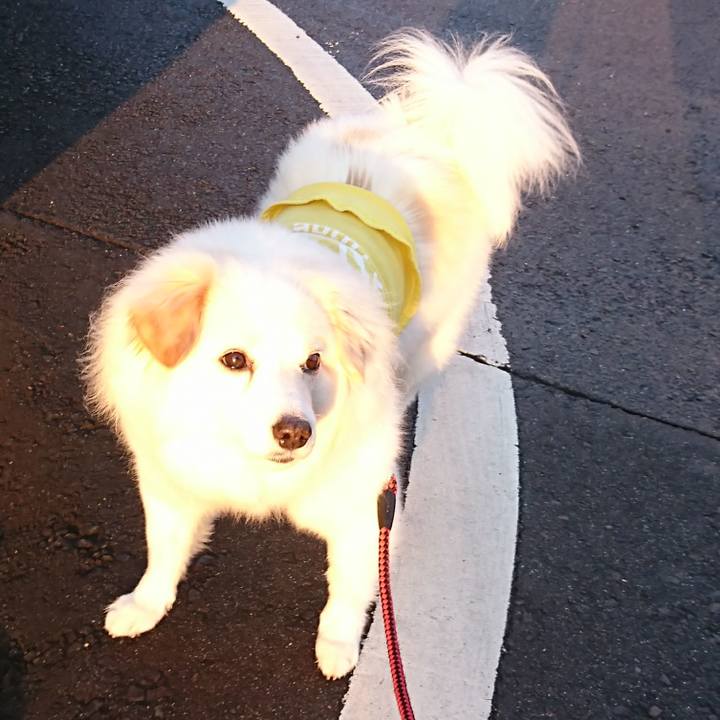 6efc03f5 af2e 4bd4 a5b0 fd0e8967a5f5