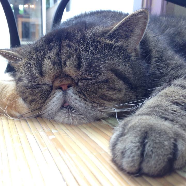 6efc80cb f6fe 45b1 8200 035694793d08