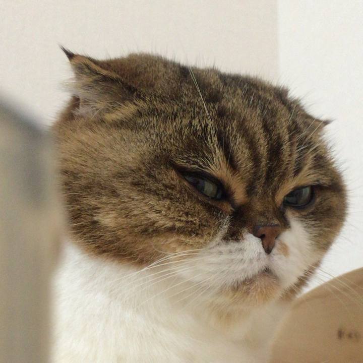 6efca5c8 140f 4400 8762 04a41bc5b2c9