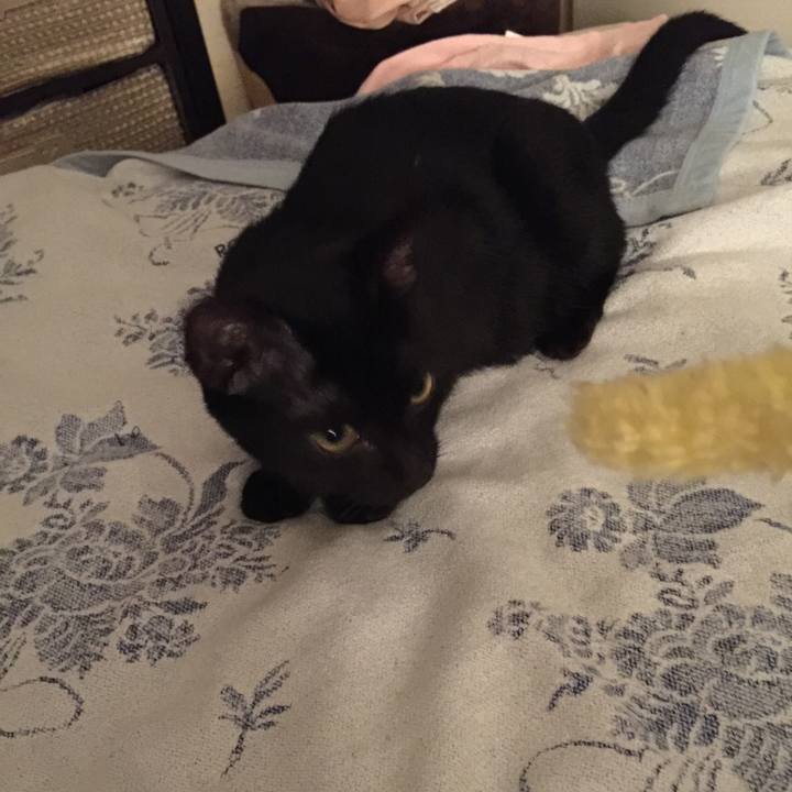 6efcd36a f0ee 47fc adfd 12b210d6df4e