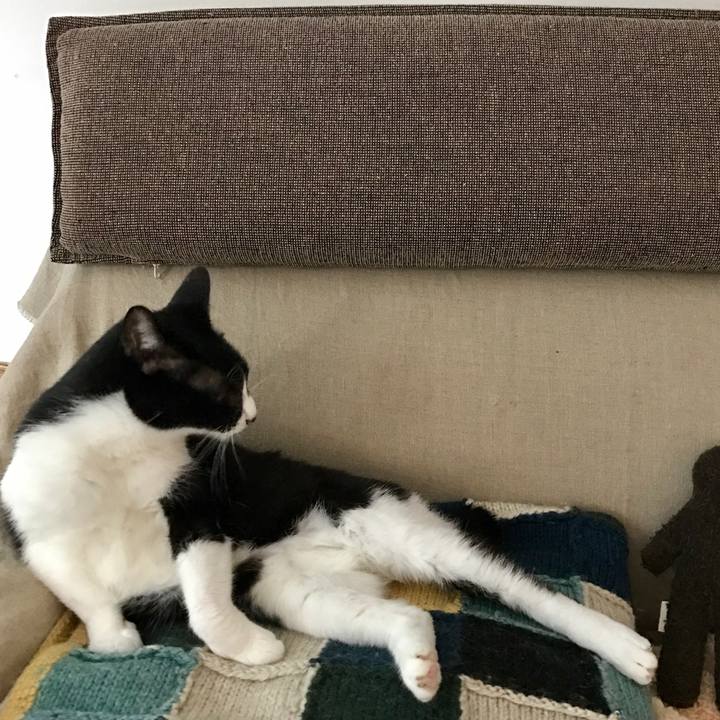 6efd4b0f 6916 4262 920c 53df761cfc19