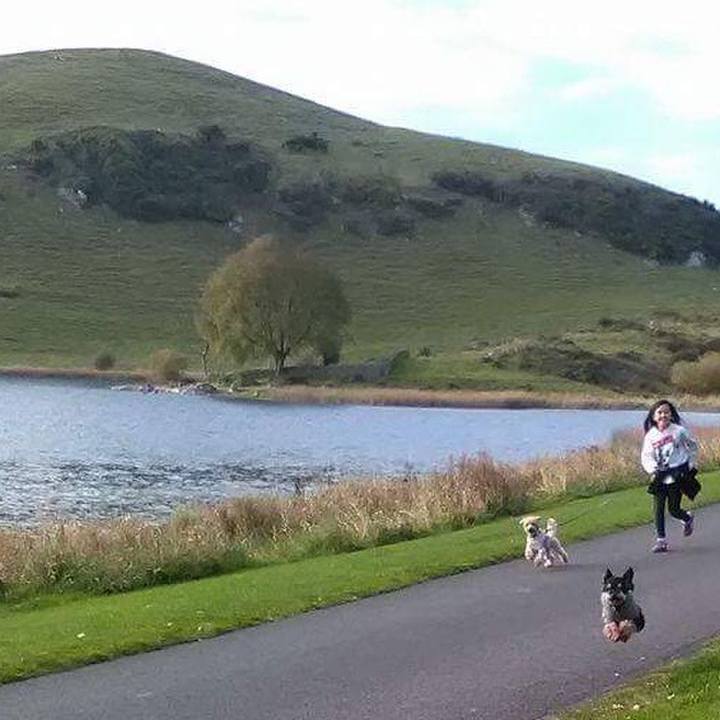 6efda6ef df7b 474f 8d5e 3ccb07fc966f