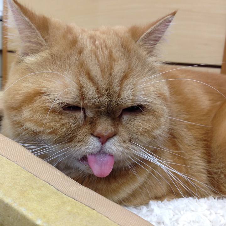 6efde18a 74b2 4496 9897 3762535427ee