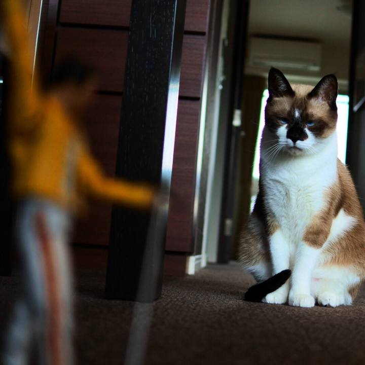 6efe1ed8 c4cb 49d7 8fab 36d87387bfcb