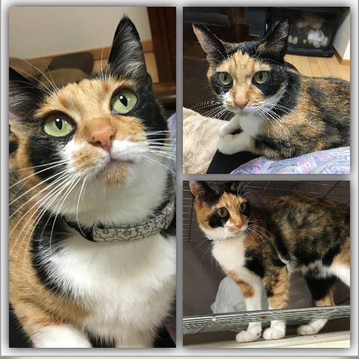 6efe292f ebb0 42bd 85db 367e984f4364