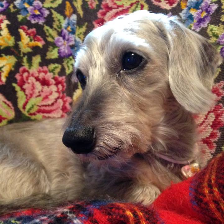 6efe2cc1 6520 4681 a379 995fd864878f