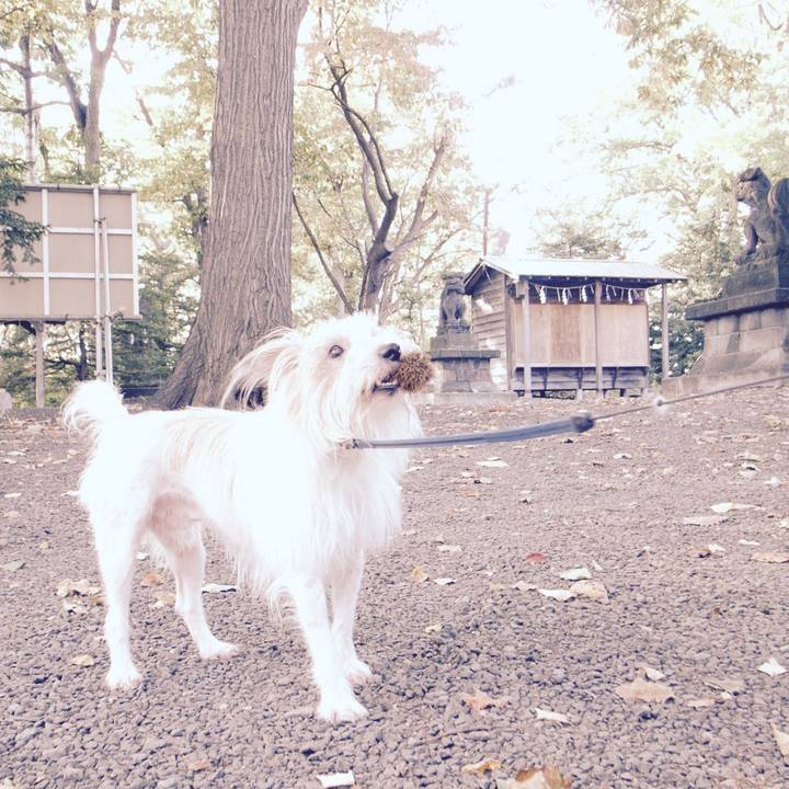 6efe3b17 ae2b 4924 b781 e1fbe8e5a423