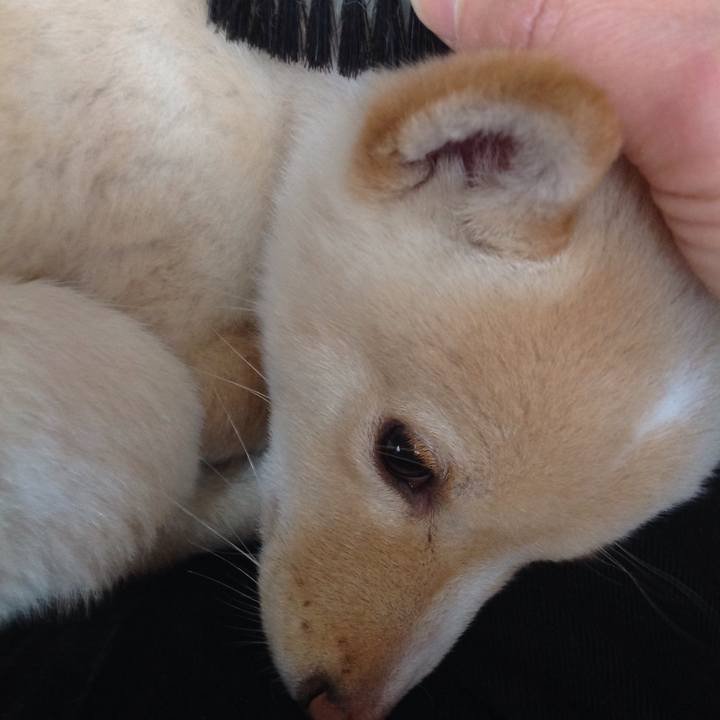 6efea1ab 99ba 4029 bc3f 4c0e66b6e197