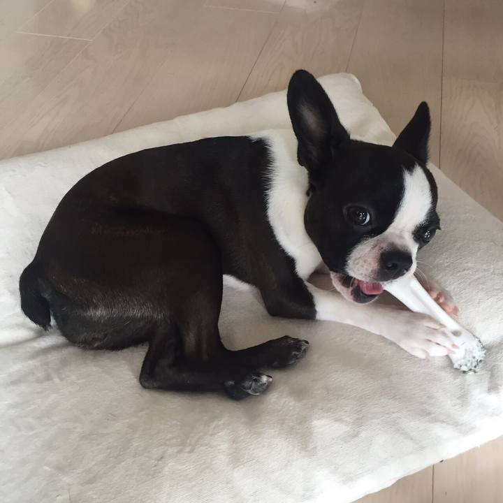 6efeb218 c86f 4a5f a63d 63c0b32a6c00