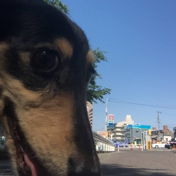 6eff4f3c e782 430e 81d0 bca5d7fe8729