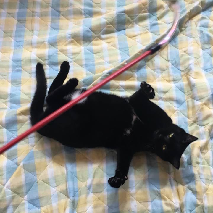 6eff81b6 1364 4caf 9a77 96e5c275a2bc