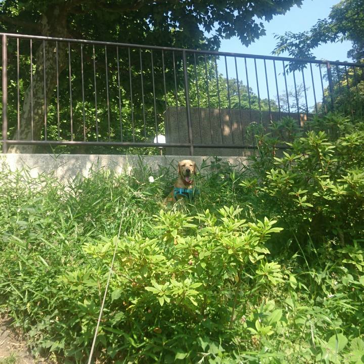 6f011b4f c033 4d3c 9c44 261482b677bf