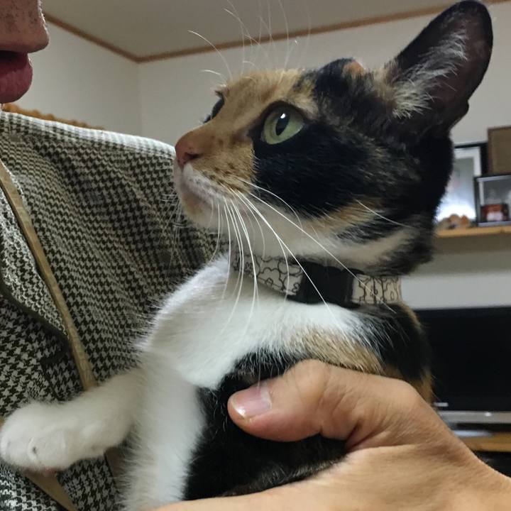 6f0123e9 7546 44e0 9ae4 2bbd22aa86ab