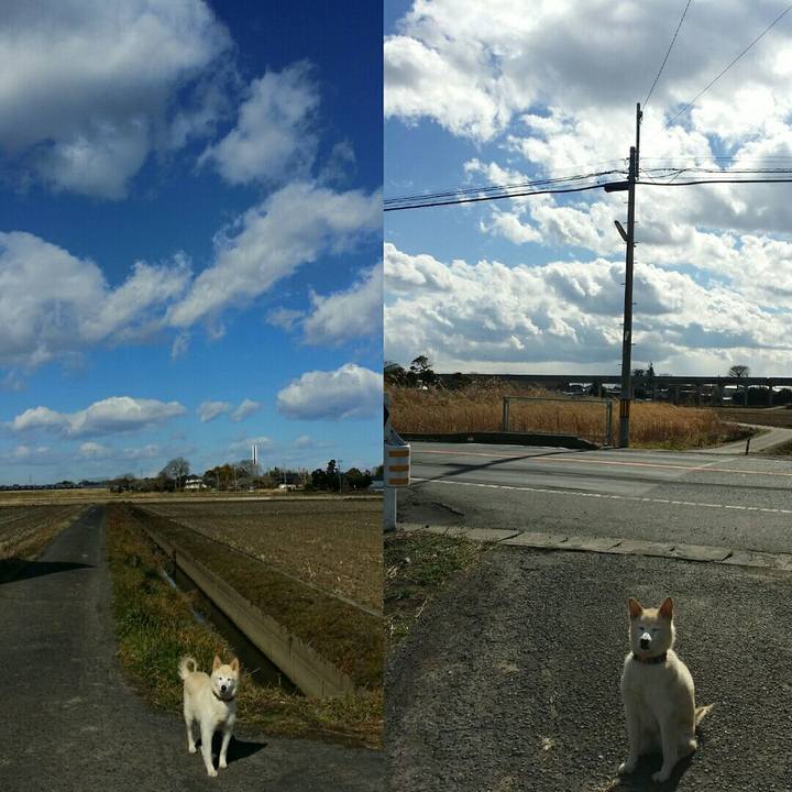 6f01f197 d0c2 4ef5 8886 4dac032e4b99