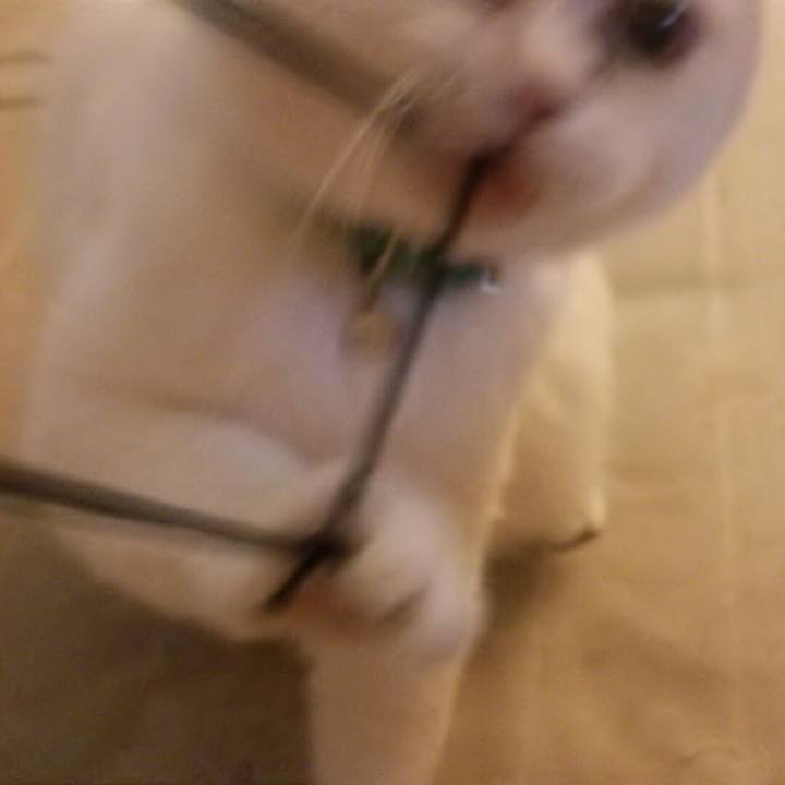 6f020a39 898c 419e 8925 d8e406141ade