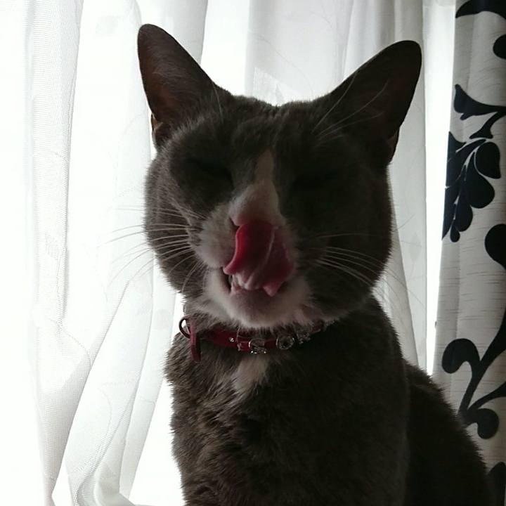 6f020c66 6d7f 4ec7 b29a 5cedfb393318