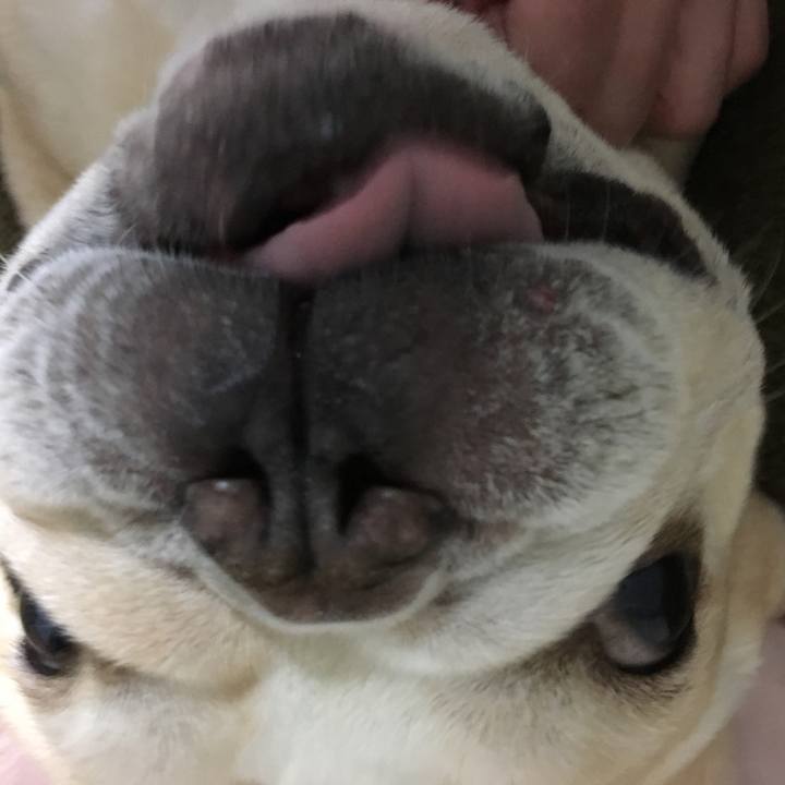 6f025295 a58a 488e 84ff 7096b00a6cc4