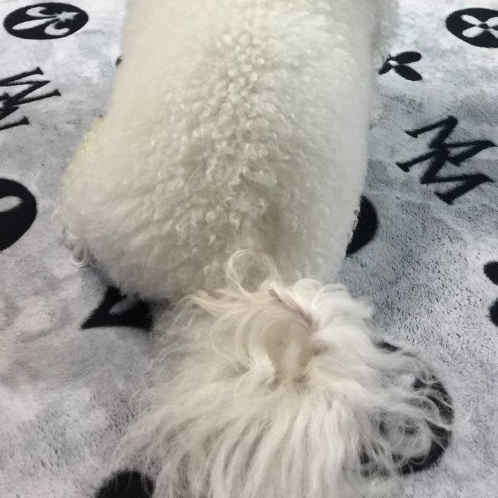 6f02a64d 24c8 44e5 a5eb cc33fb8f2cbe