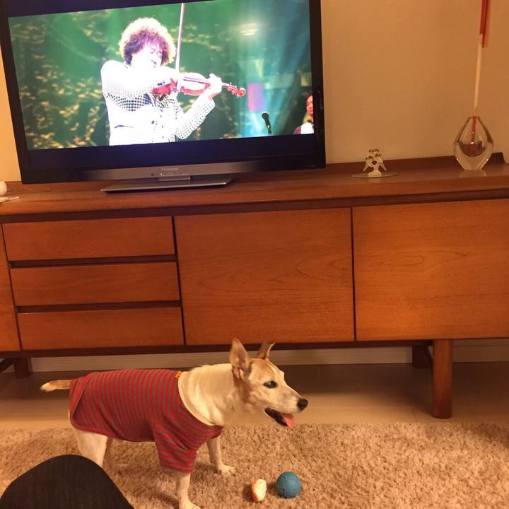 6f049cb3 c12f 43e5 86cc a9672be0f3bb