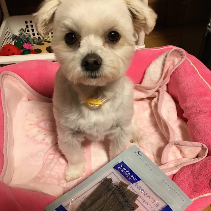 6f055d6a 932d 4f05 872b b3c86a5a40a6