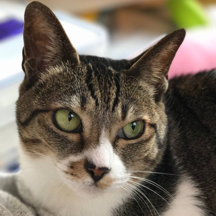 6f058dc7 0b0f 46c4 bad2 acf8cf8ca6aa