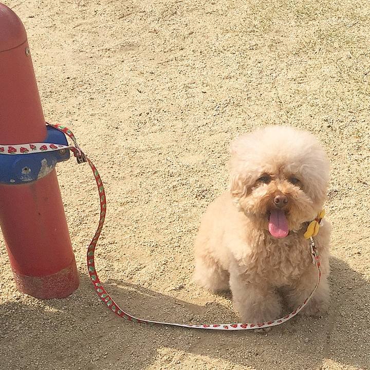 6f05a94b 8b53 407d b2aa dff65fc2bf8a