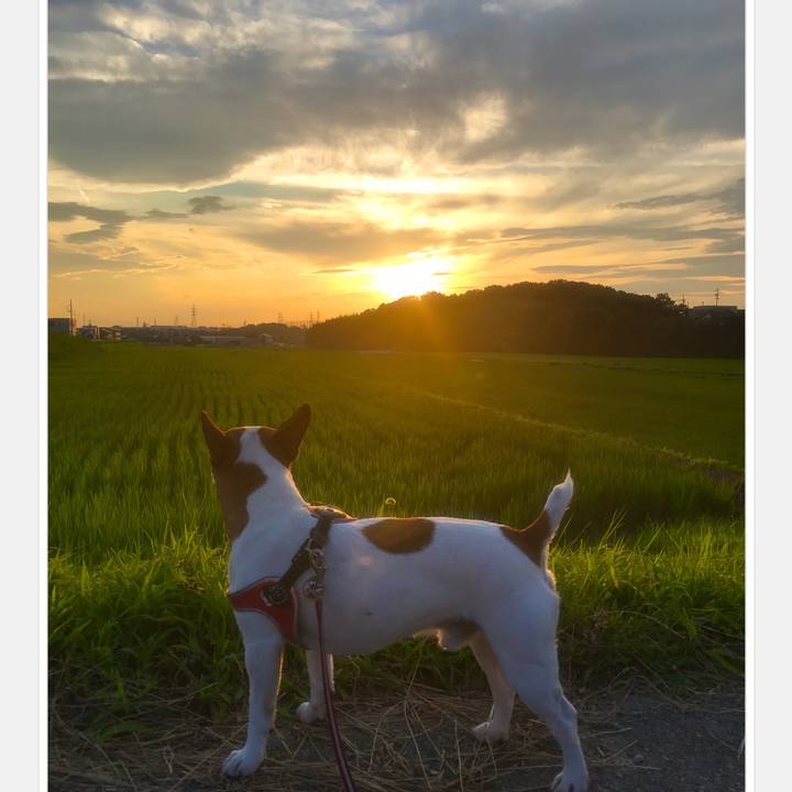 6f064bd8 8307 4ad8 b8d3 5579a0074bc1