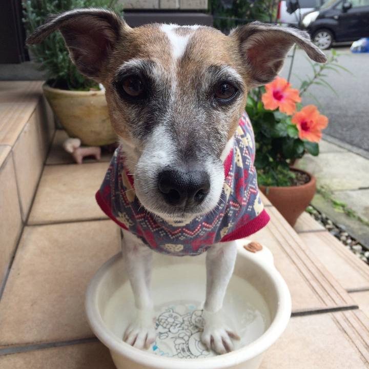 6f07ad03 d816 45ad 85a3 840b4f8820dc