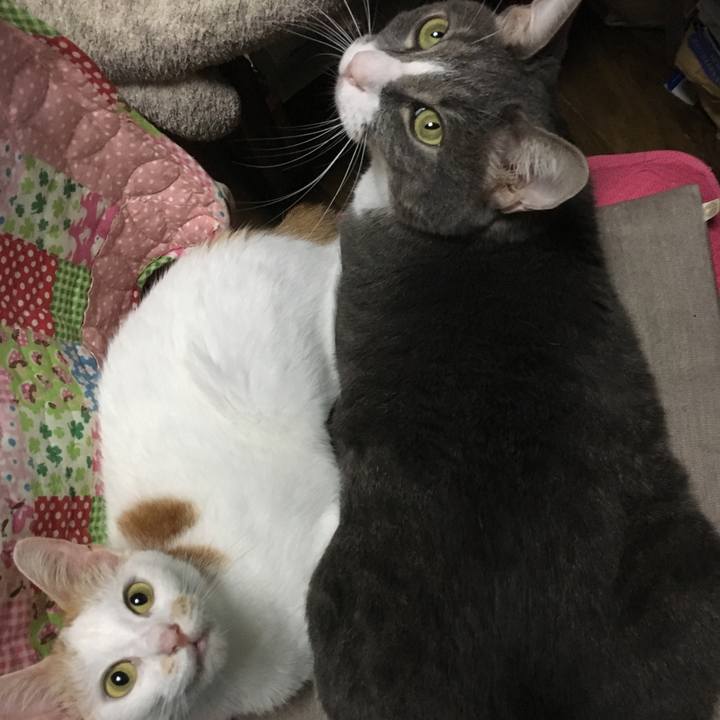 6f07affc 0a0d 408a a201 46f0efa69113