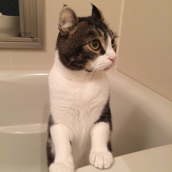 6f07eec7 6f29 404c 9a67 675e24b54166