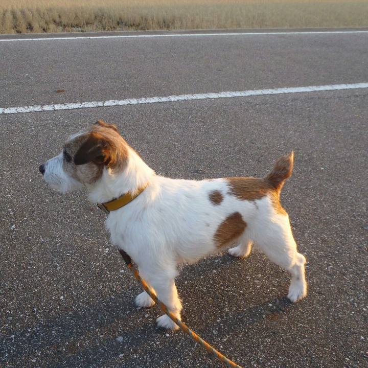 6f08baf3 3f46 4da5 af27 d3f3c39ec95e