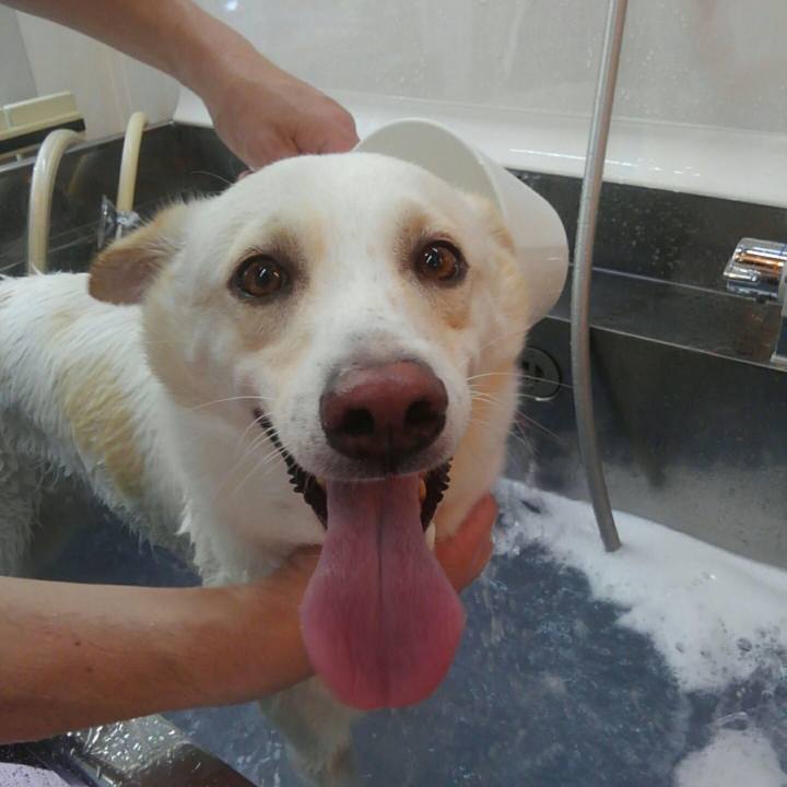 6f091a4b 6a48 4f43 98cf 0552a1e1d71a