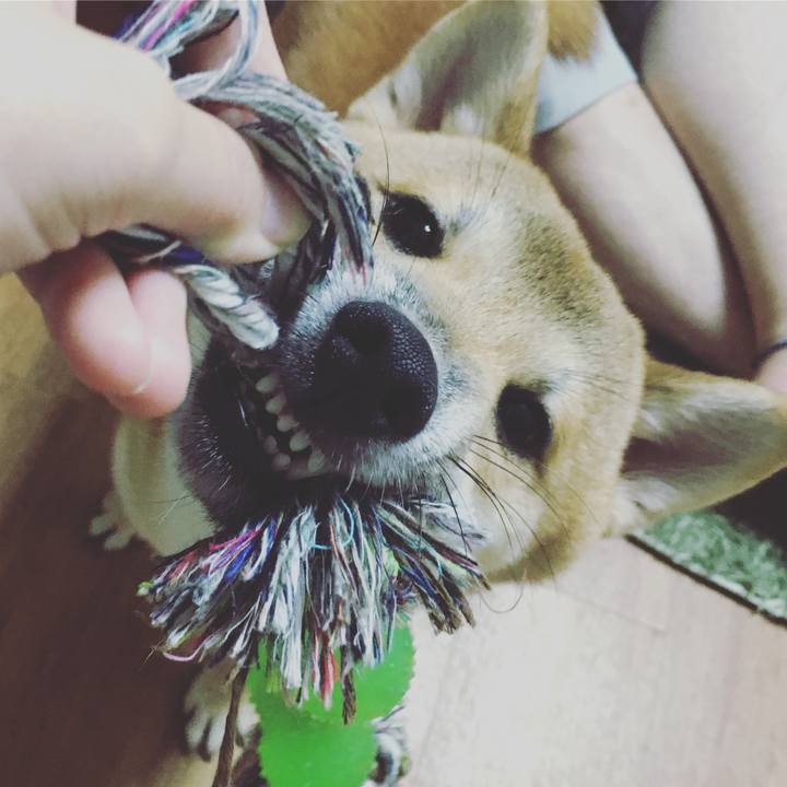 6f0a123a 8216 46d6 98d9 bef77209ce25