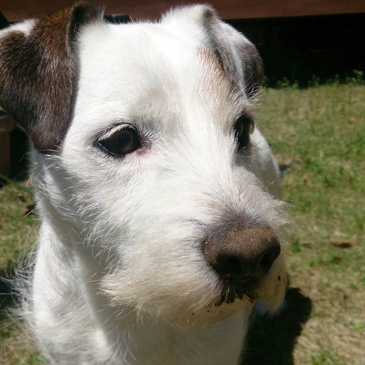 6f0a7cef db98 4454 900a 0d63d7c6326b